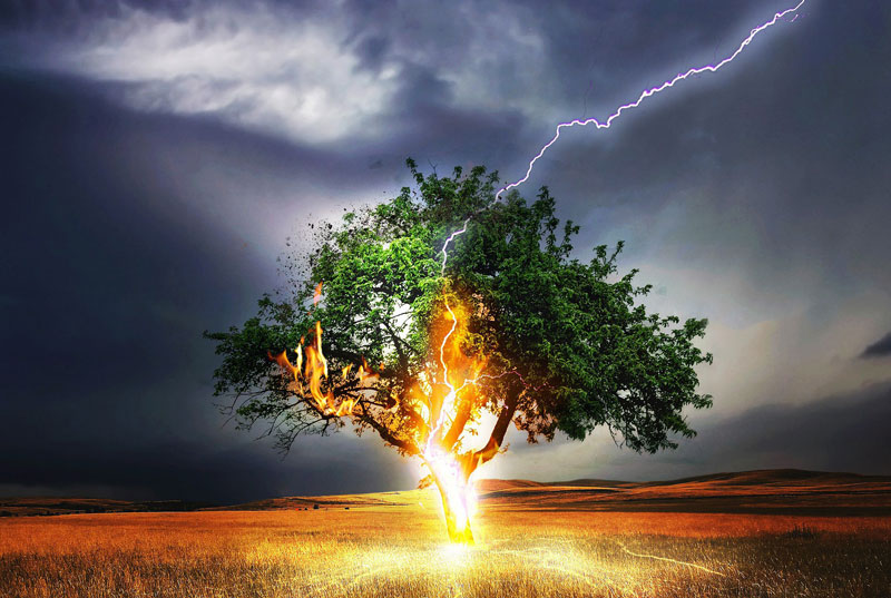 Blitzschlag in Baum mit Feuer