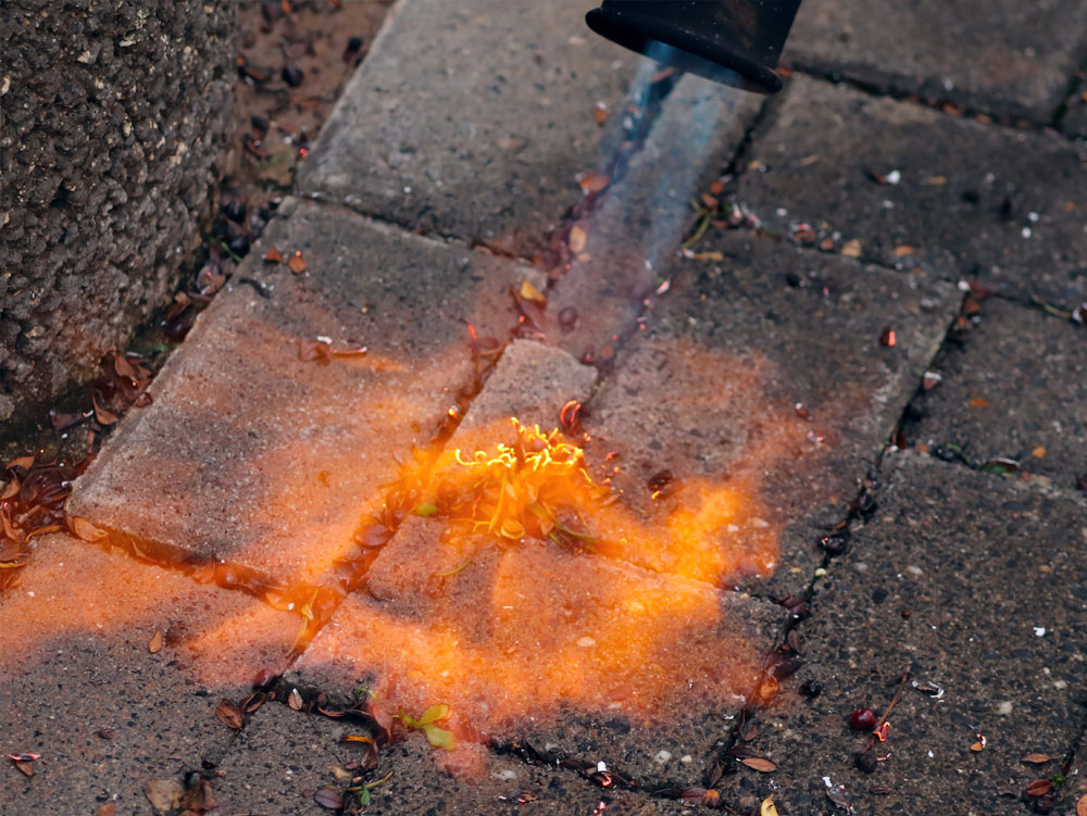 Unkraut abflammen mit Abflammer - Brandgefahr