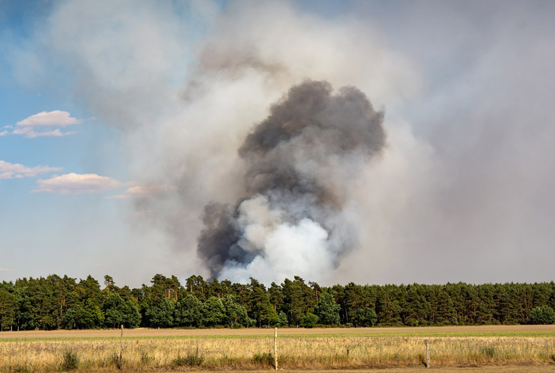 Waldbrandgefahr