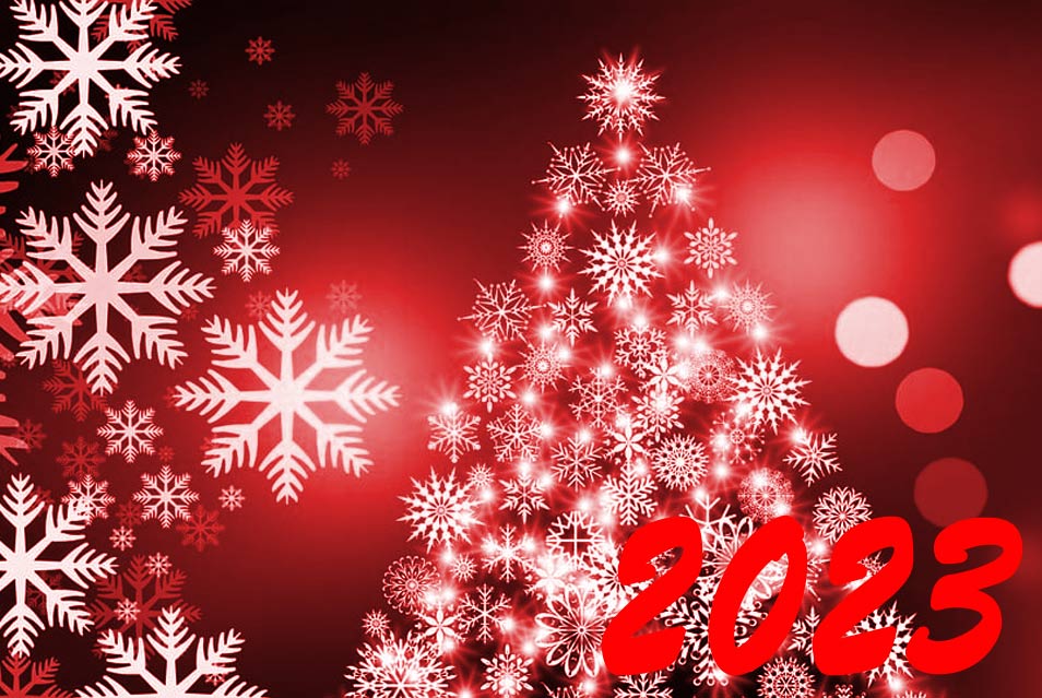 Frohe Weihnachten und einen guten Rutsch ins neue Jahr 2024 wünscht das